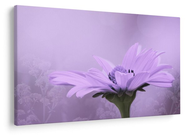 Tablou - Flori mov (90x60 cm)