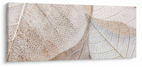 Tablou - Frunze bej (120x50 cm)