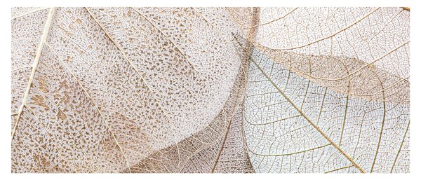 Tablou - Frunze bej (120x50 cm)