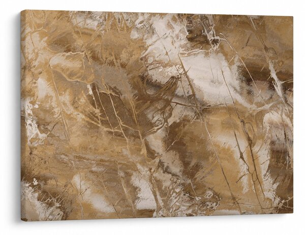 Tablou - Abstract maro (70x50 cm)