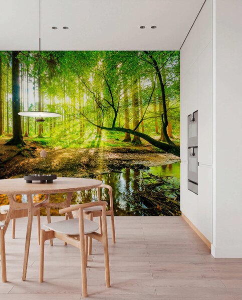 Tapet Transparența fluxului forestier, Fototapet Natură, u93621 : Uwalls.ro