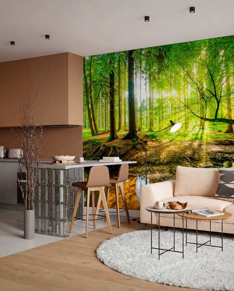 Tapet Transparența fluxului forestier, Fototapet Natură, u93621 : Uwalls.ro