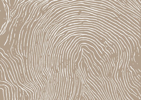Fototapet Liniile naturale creează un model unic, Fototapet abstracte, Fototapet populare, t00876 - Tapeko.ro