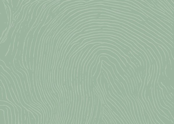 Fototapet Model verde și alb, Fototapet abstracte, Fototapet populare, t00876v2 - Tapeko.ro