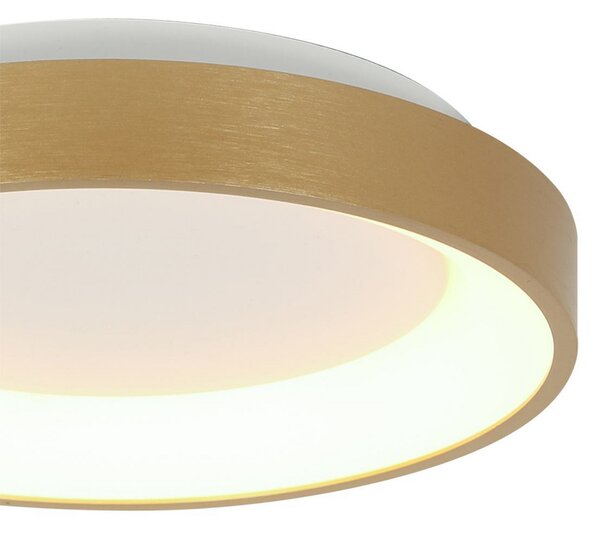 Steinhauer Plafonieră Ringlede LED, aurie, înălțime 6 cm, Ø 28 cm, Auriu / Alamă, Camera de zi / sufragerie, Metal, Modern