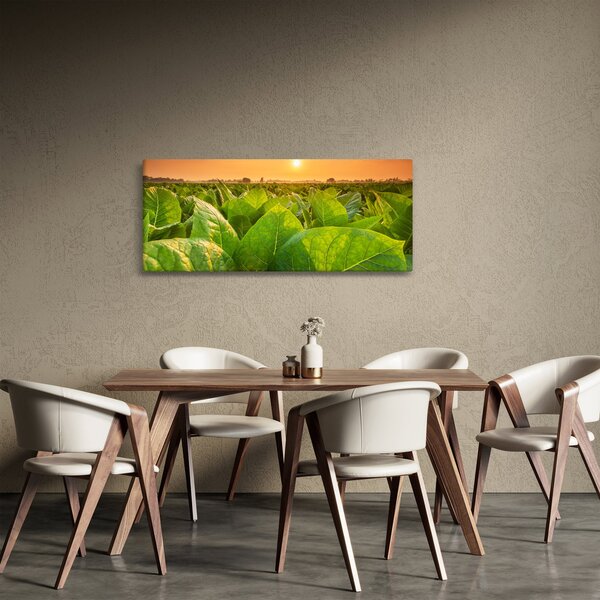 Tablou - Câmp (120x50 cm)