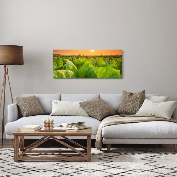 Tablou - Câmp (120x50 cm)