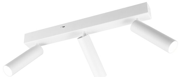 Trio Lighting Ambala LED spot de plafon, 3 becuri, alb, metal, CCT, dimabil, reglabil, Alb, Camera de zi / sufragerie, Metal, Modern
