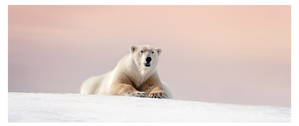 Tablou - Urs polar (120x50 cm)