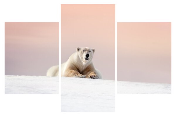 Tablou - Urs polar (90x60 cm)