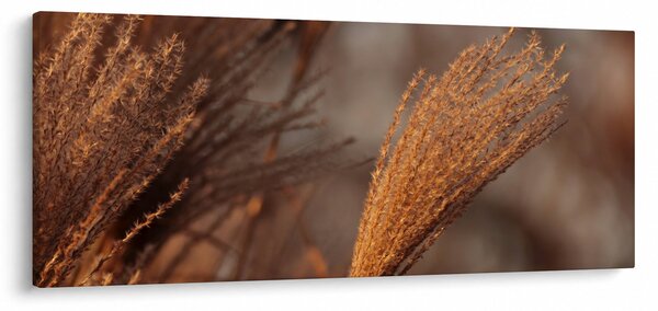 Tablou - Cortaderie (120x50 cm)