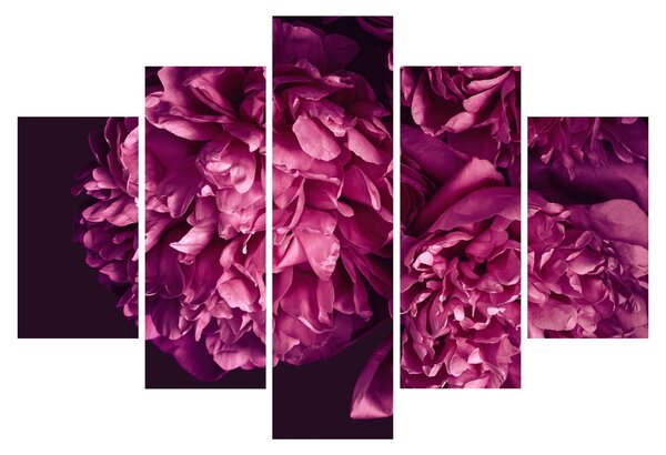 Tablou - Floarea bujorului (150x105 cm)