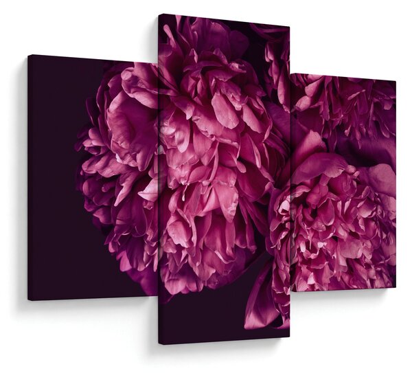 Tablou - Floarea bujorului (90x60 cm)