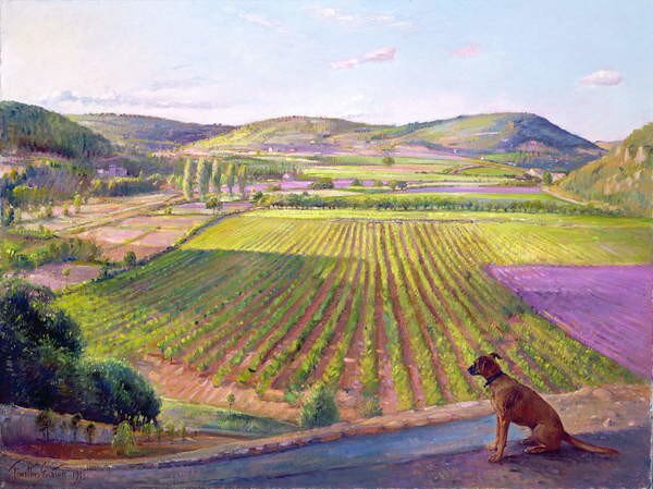 Timothy Easton - Artă imprimată Watching from the Walls, Old Provence, 1993, (40 x 30 cm)