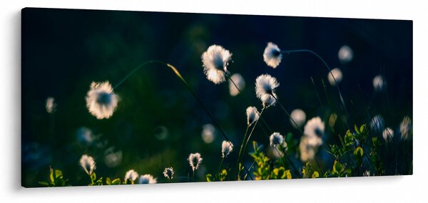 Tablou - Iarbă (120x50 cm)