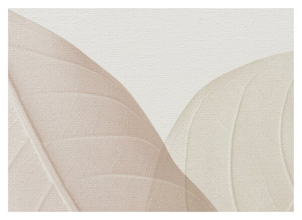 Tablou - Frunze texturate (70x50 cm)