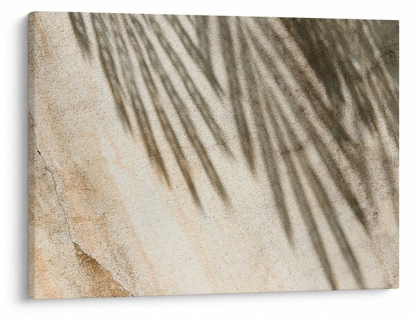 Tablou - Umbre (70x50 cm)