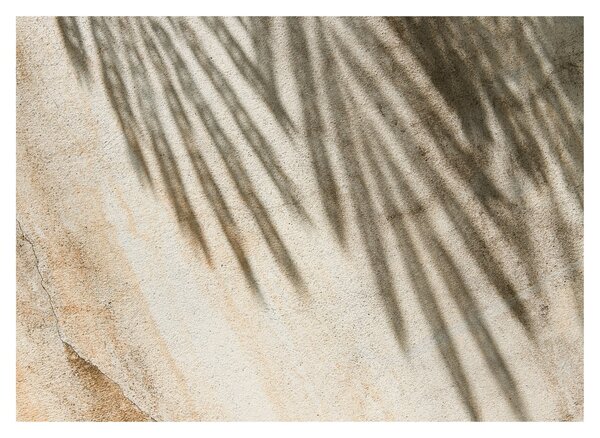 Tablou - Umbre (70x50 cm)