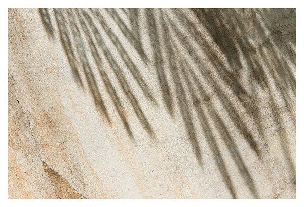 Tablou - Umbre (90x60 cm)