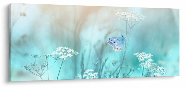 Tablou - Fluture în albastru (120x50 cm)