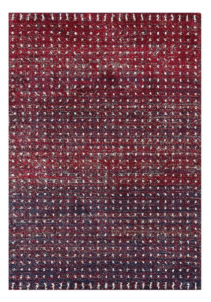 Covor Royal cherry red/navy 160x230 cm