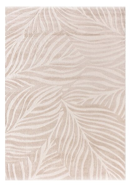 Covor Velora beige 200x290 cm