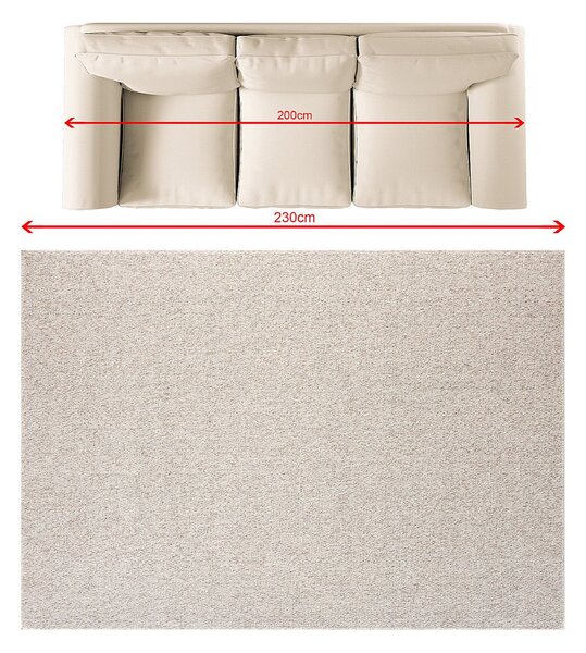 Covor Neutral 160x230 cm