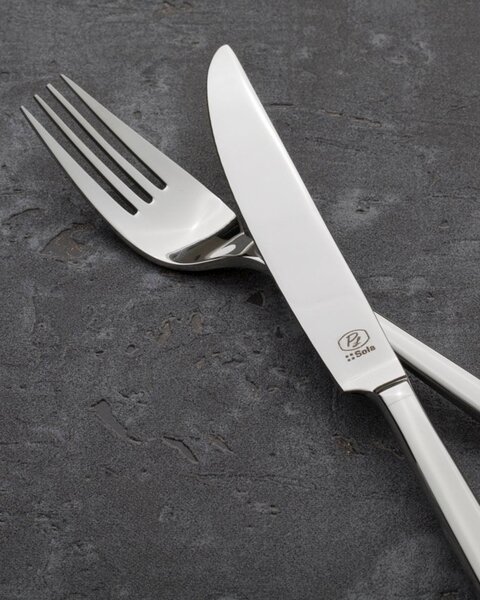 Set de tacâmuri Fiori Platinum pentru 6 persoane, 24 piese