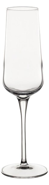 Pahare de șampanie Gusto 6buc. 240ml