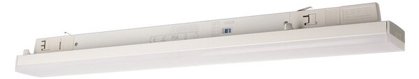 Deko-Light Lampă LED LINEAR PRO, alb, 930, 60 cm trifazat DALI, reglabil, Alb, Studiu / Birou, Aluminiu