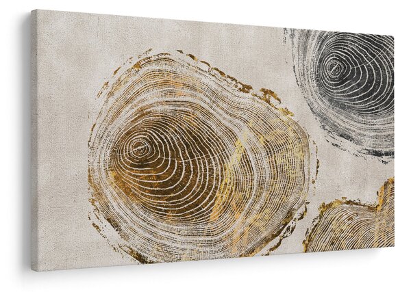 Tablou - Abstract triburi (90x60 cm)
