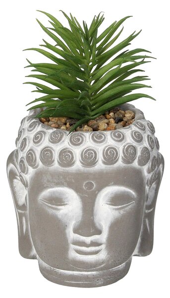 Decorațiune Buddha Suculentă I 17cm
