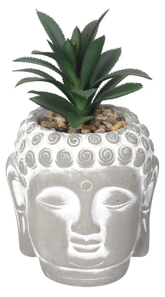 Decorațiune Buddha Suculentă II 17cm