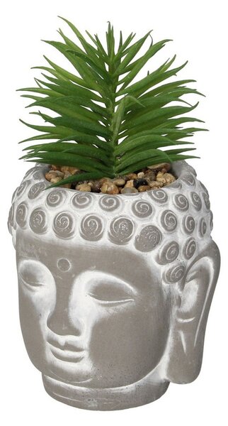 Decorațiune Buddha Suculentă I 17cm