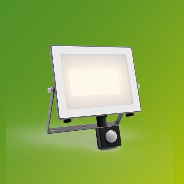 Philips Spot exterior cu LED Lois UE Senzor, 24 W, 3.000 K IP65, Gri, Aluminiu