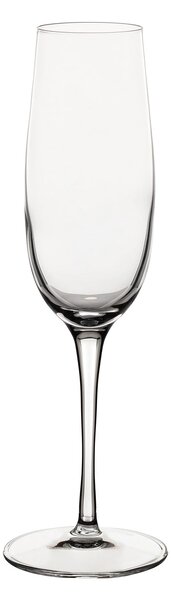 Pahare de șampanie Plzazzo 6 buc. 235ml