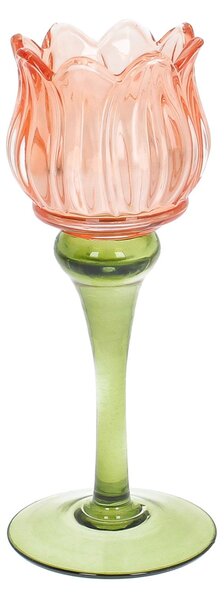 Sfeşnic Floris 19 cm