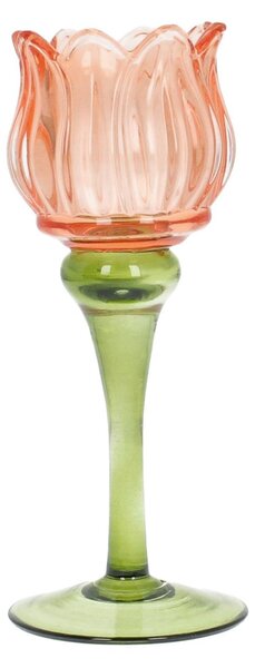 Sfeşnic Floris 19 cm