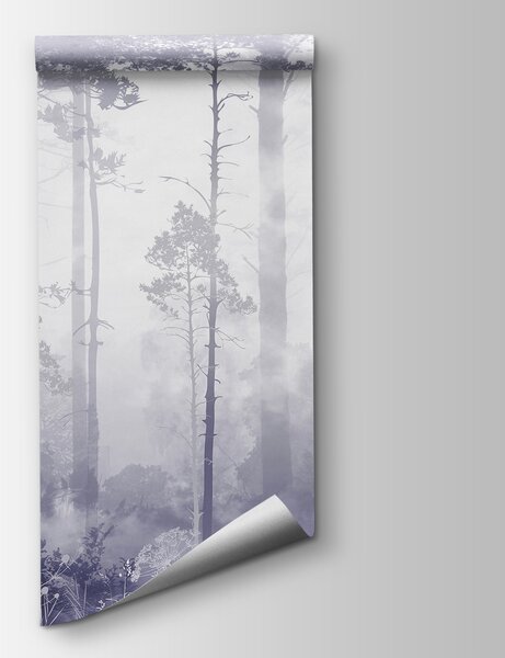 Fototapet O pădure cețoasă cu copaci înalți, Fototapet pădure cețoasă, Fototapet populare, u94439v4 - Tapeko.ro