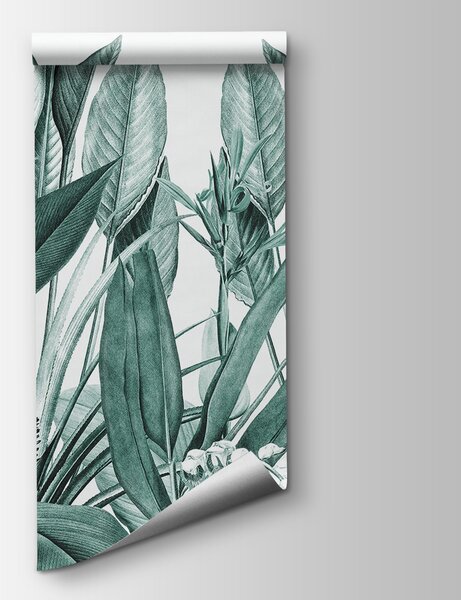 Fototapet Frunziș tropical în verde armonios, Fototapet jungle, Fototapet populare, u96833v3 - Tapeko.ro