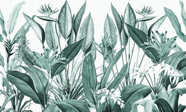 Fototapet Frunziș tropical în verde armonios, Fototapet jungle, Fototapet populare, u96833v3 - Tapeko.ro