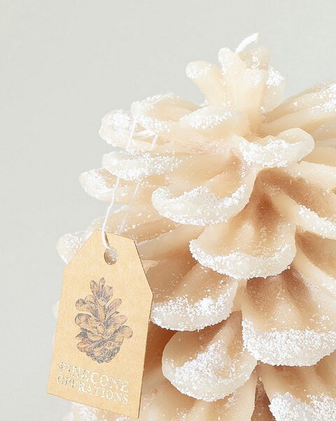 Lumânare Pine Frost II 13x13x15 cm