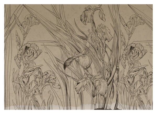 Tablou - Contururile plantelor (70x50 cm)
