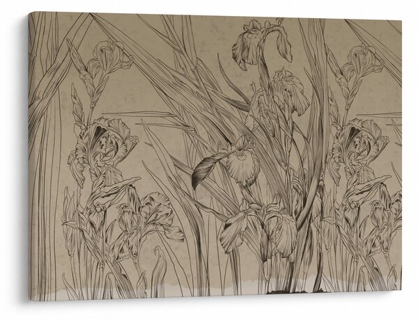 Tablou - Contururile plantelor (70x50 cm)