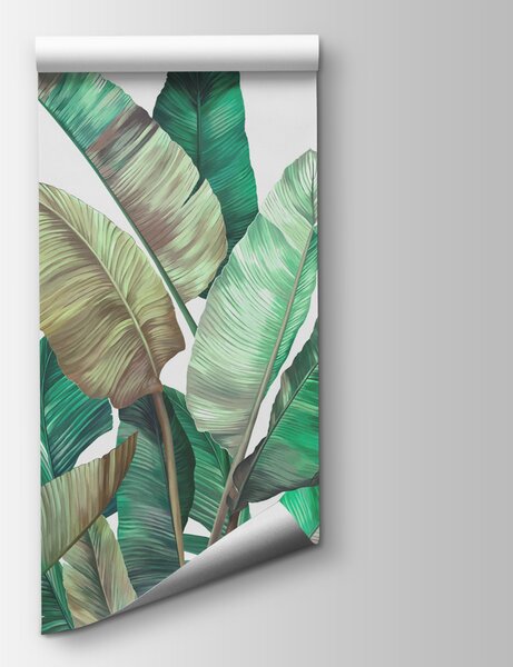 Fototapet Un grup de plante tropicale, Fototapet jungle, Fototapet populare, w00186v1 - Tapeko.ro