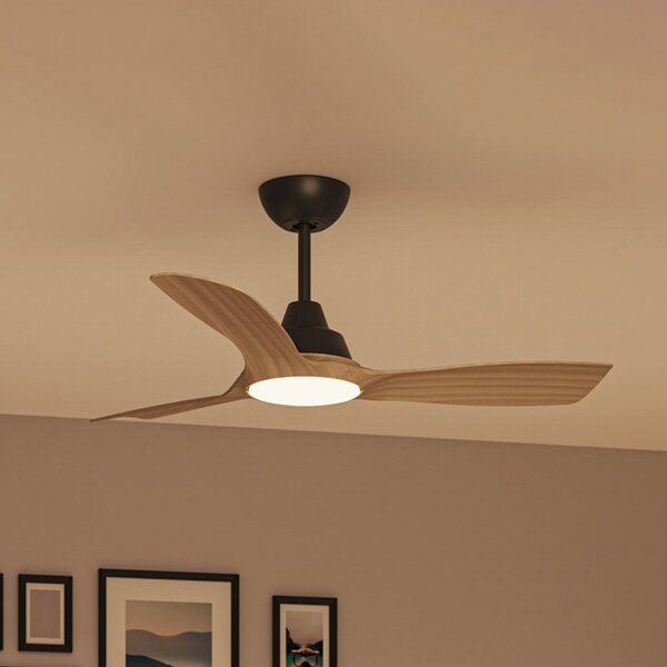 Philips Ventilator cu LED Olas, Ø 106 cm, maro/negru, CCT, reglabil, Negru, Camera de zi / sufragerie, Plastic, Modern