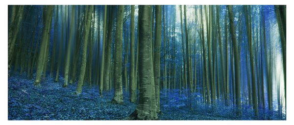 Tablou - Pădure albastră (120x50 cm)