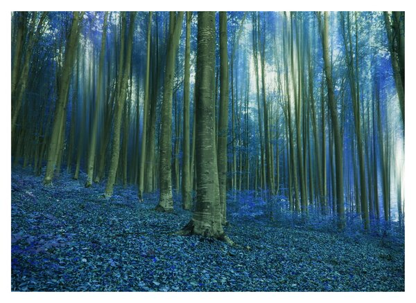 Tablou - Pădure albastră (70x50 cm)