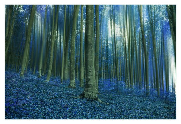 Tablou - Pădure albastră (90x60 cm)
