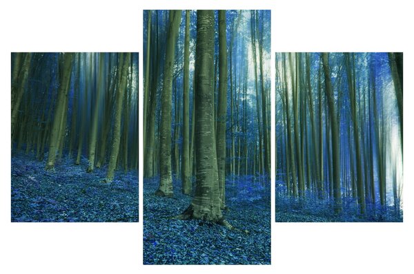 Tablou - Pădure albastră (90x60 cm)